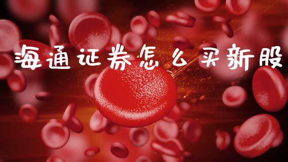 海通证券怎么买新股_https://wap.jnlaobingbanjia.com_基金分析_第1张