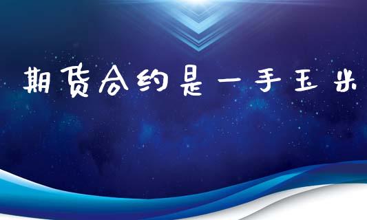 期货合约是一手玉米_https://wap.jnlaobingbanjia.com_基金分析_第1张
