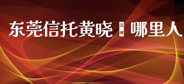 东莞信托黄晓雯哪里人_https://wap.jnlaobingbanjia.com_基金分析_第1张