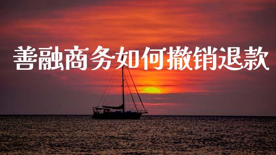善融商务如何撤销退款_https://wap.jnlaobingbanjia.com_财经资讯_第1张