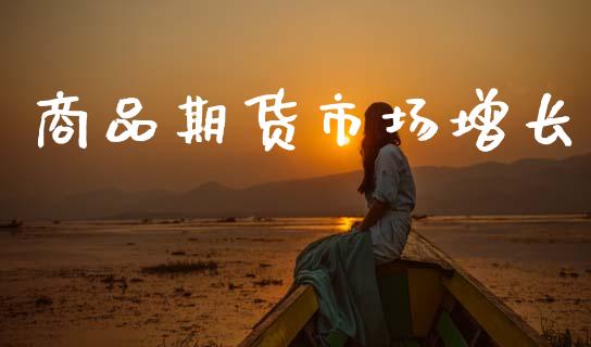 商品期货市场增长_https://wap.jnlaobingbanjia.com_财务管理_第1张