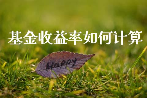 基金收益率如何计算_https://wap.jnlaobingbanjia.com_金融理财_第1张