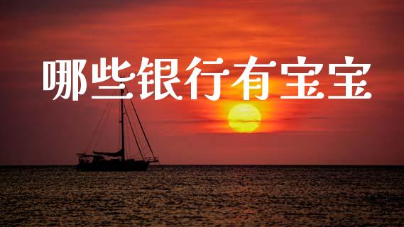 哪些银行有宝宝_https://wap.jnlaobingbanjia.com_财务管理_第1张