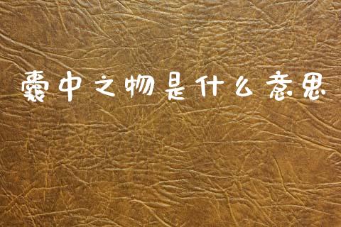 囊中之物是什么意思_https://wap.jnlaobingbanjia.com_财务管理_第1张