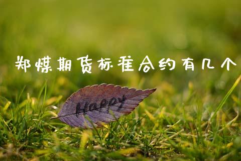 郑煤期货标准合约有几个_https://wap.jnlaobingbanjia.com_金融理财_第1张