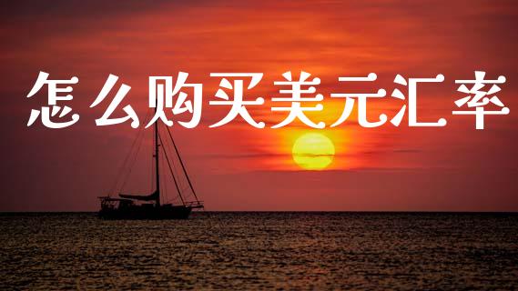 怎么购买美元汇率_https://wap.jnlaobingbanjia.com_财经资讯_第1张