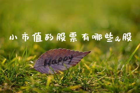 小市值的股票有哪些a股_https://wap.jnlaobingbanjia.com_基金分析_第1张