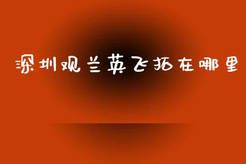深圳观兰英飞拓在哪里_https://wap.jnlaobingbanjia.com_证券公告_第1张