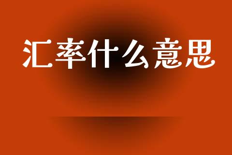 汇率什么意思_https://wap.jnlaobingbanjia.com_财务管理_第1张