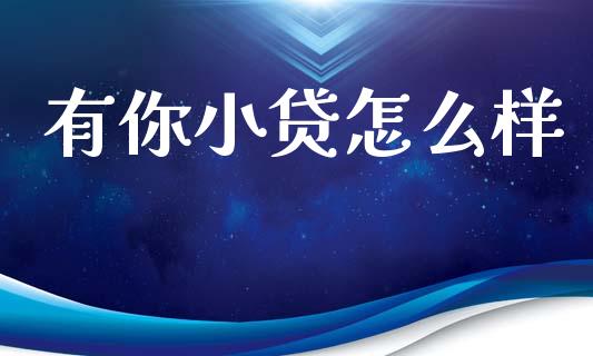有你小贷怎么样_https://wap.jnlaobingbanjia.com_财务管理_第1张