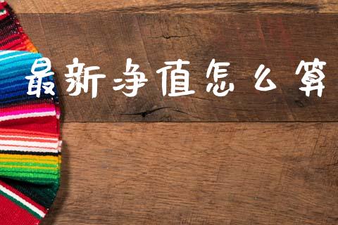 最新净值怎么算_https://wap.jnlaobingbanjia.com_基金分析_第1张