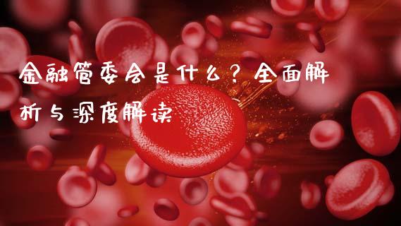金融管委会是什么？全面解析与深度解读_https://wap.jnlaobingbanjia.com_财务管理_第1张