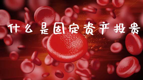 什么是固定资产投贵_https://wap.jnlaobingbanjia.com_财务管理_第1张