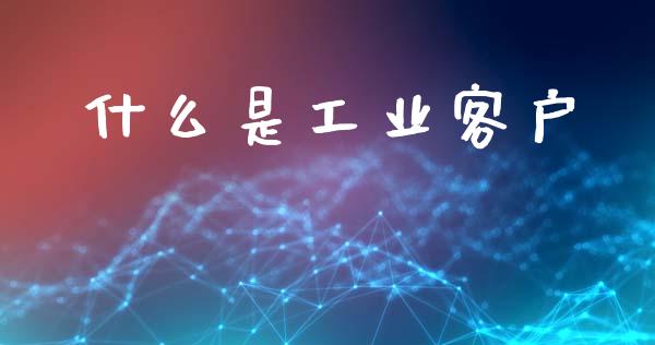 什么是工业客户_财务管理_第1张_财经资讯_股市行情_财务管理_金融理财 什么是工业客户_https://wap.jnlaobingbanjia.com_财务管理_第1张