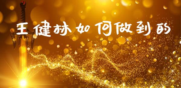 王健林如何做到的_https://wap.jnlaobingbanjia.com_基金分析_第1张
