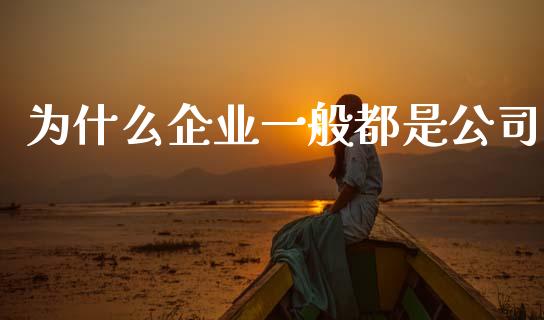 为什么企业一般都是公司_https://wap.jnlaobingbanjia.com_金融理财_第1张