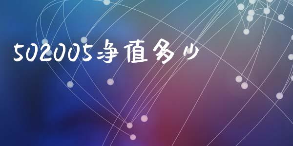 502005净值多少_https://wap.jnlaobingbanjia.com_基金分析_第1张