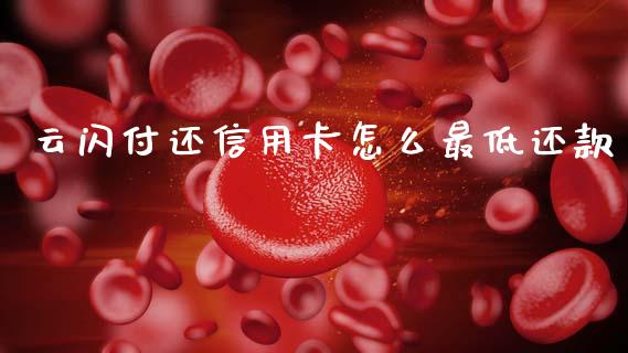 云闪付还信用卡怎么最低还款_https://wap.jnlaobingbanjia.com_基金分析_第1张