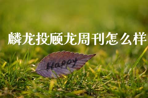 麟龙投顾龙周刊怎么样_https://wap.jnlaobingbanjia.com_财经资讯_第1张