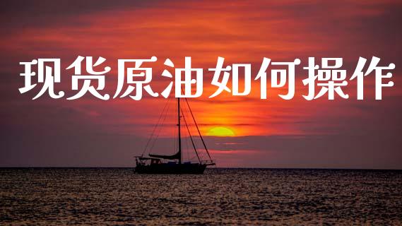 现货原油如何操作_https://wap.jnlaobingbanjia.com_金融理财_第1张