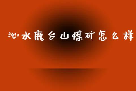 沁水鹿台山煤矿怎么样_https://wap.jnlaobingbanjia.com_证券公告_第1张