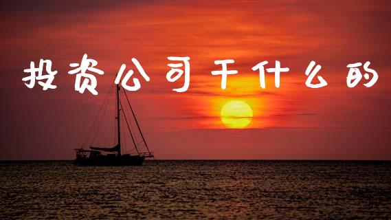 投资公司干什么的_https://wap.jnlaobingbanjia.com_财务管理_第1张