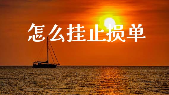 怎么挂止损单_https://wap.jnlaobingbanjia.com_基金分析_第1张