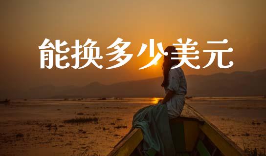 能换多少美元_https://wap.jnlaobingbanjia.com_基金分析_第1张