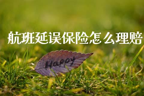 航班延误保险怎么理赔_https://wap.jnlaobingbanjia.com_股市行情_第1张