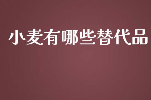 小麦有哪些替代品_https://wap.jnlaobingbanjia.com_财务管理_第1张