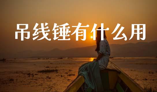 吊线锤有什么用_https://wap.jnlaobingbanjia.com_股市行情_第1张