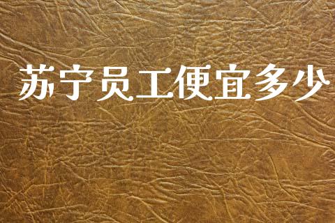 苏宁员工便宜多少_https://wap.jnlaobingbanjia.com_股市行情_第1张