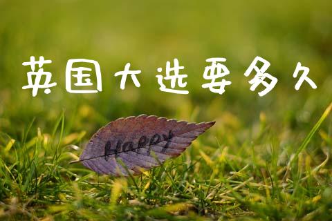 英国大选要多久_https://wap.jnlaobingbanjia.com_财务管理_第1张