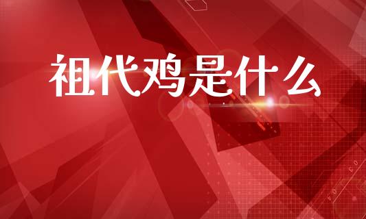 祖代鸡是什么_https://wap.jnlaobingbanjia.com_金融理财_第1张