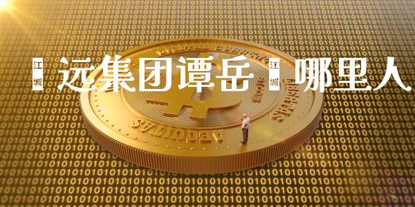 鑫远集团谭岳鑫哪里人_https://wap.jnlaobingbanjia.com_财经资讯_第1张
