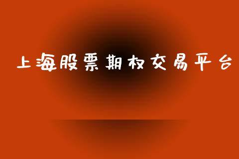 上海股票期权交易平台_https://wap.jnlaobingbanjia.com_基金分析_第1张