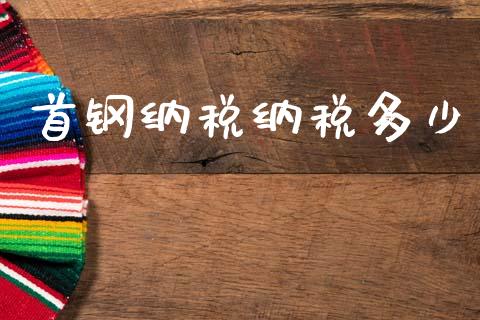 首钢纳税纳税多少_https://wap.jnlaobingbanjia.com_基金分析_第1张