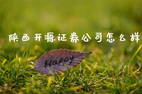 陕西开源证券公司怎么样_https://wap.jnlaobingbanjia.com_股市行情_第1张