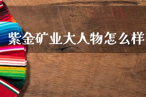 紫金矿业大人物怎么样_https://wap.jnlaobingbanjia.com_证券公告_第1张