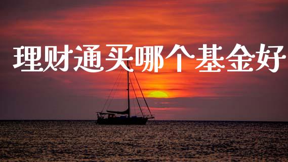 理财通买哪个基金好_https://wap.jnlaobingbanjia.com_金融理财_第1张