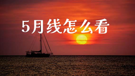 5月线怎么看_https://wap.jnlaobingbanjia.com_基金分析_第1张