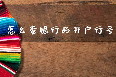 怎么查银行的开户行号_https://wap.jnlaobingbanjia.com_证券公告_第1张