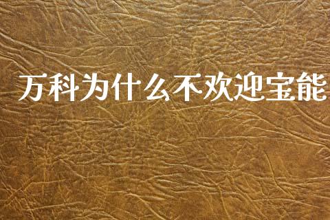 万科为什么不欢迎宝能_https://wap.jnlaobingbanjia.com_财务管理_第1张