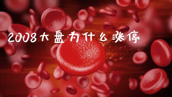 2008大盘为什么涨停_https://wap.jnlaobingbanjia.com_基金分析_第1张