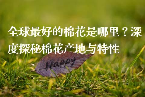 全球最好的棉花是哪里？深度探秘棉花产地与特性_https://wap.jnlaobingbanjia.com_财务管理_第1张