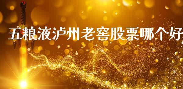 五粮液泸州老窖股票哪个好_https://wap.jnlaobingbanjia.com_金融理财_第1张