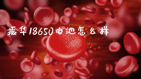振华18650电池怎么样_https://wap.jnlaobingbanjia.com_基金分析_第1张
