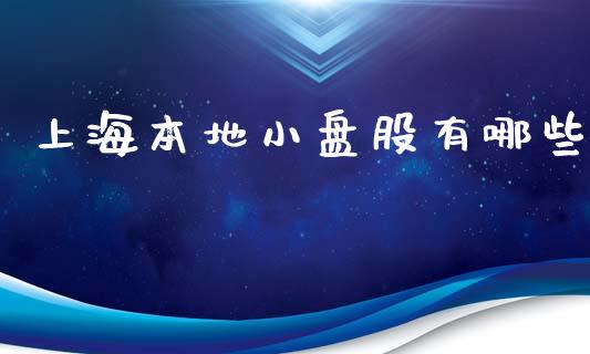 上海本地小盘股有哪些_https://wap.jnlaobingbanjia.com_财经资讯_第1张