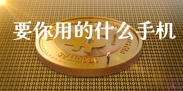 要你用的什么手机_https://wap.jnlaobingbanjia.com_金融理财_第1张
