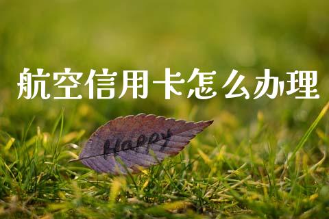 航空信用卡怎么办理_https://wap.jnlaobingbanjia.com_基金分析_第1张